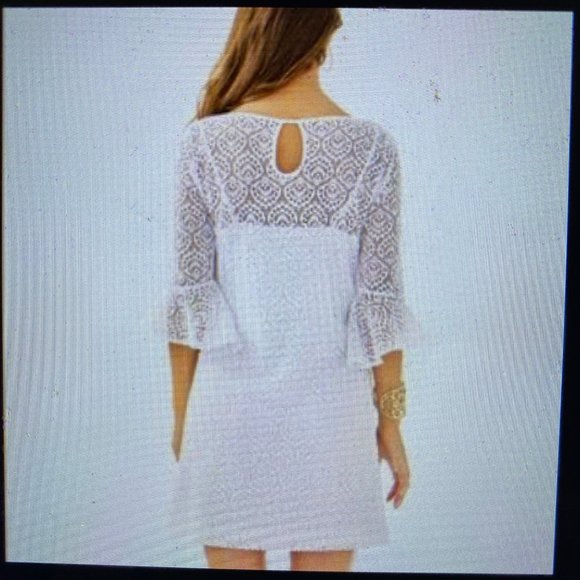 Lilly Pulitzer Fontaine Dress – NWOT (Never wore) - Picture 2 of 6